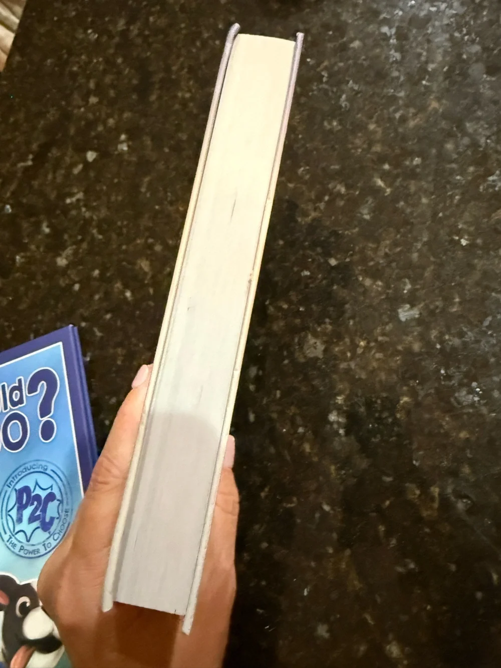 Intention Journal: new